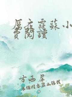 厉夜霆苏小汐免费阅读