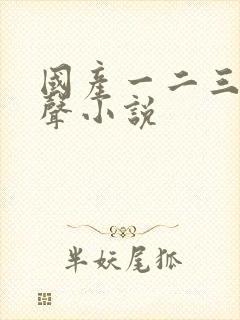 国产一二三区有声小说