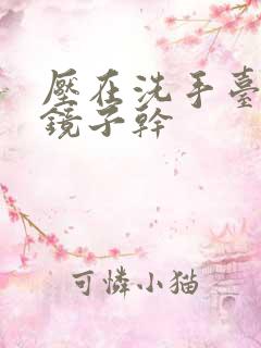 压在洗手台看着镜子干