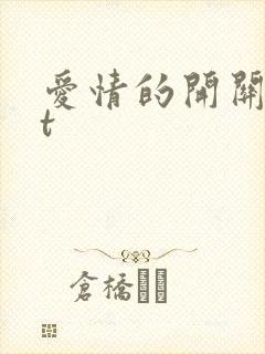 爱情的开关txt