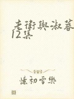 老卫与淑蓉1一12集