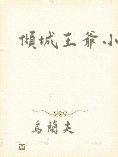 倾城王爷小小妃