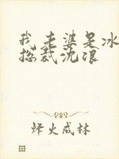 我老婆是冰山女总裁沈浪