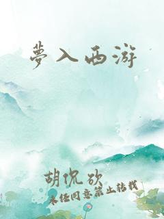 梦入西游