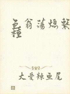 色翁荡熄系列借种