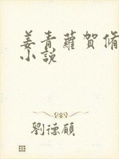 姜青萝贺修竹的小说