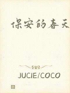 保安的春天