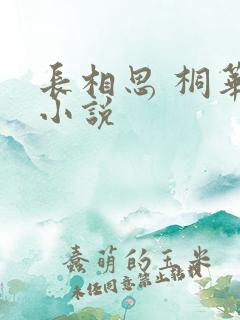 长相思 桐华 小说