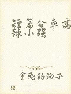 短篇公车高h肉辣小强