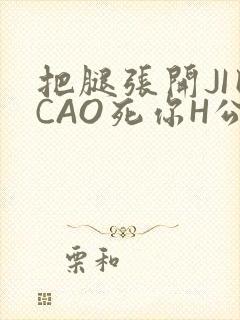 把腿张开JI巴CAO死你H公园