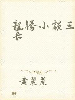 龙腾小说三宝局长