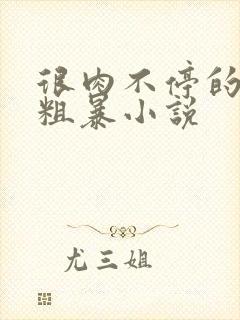 很肉不停的做很粗暴小说