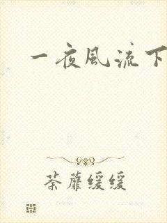 一夜风流下载