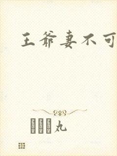 王爷妻不可欺