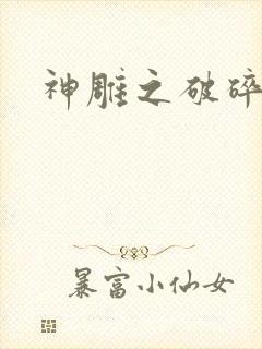 神雕之破碎之旅
