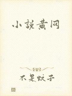 小说黄网