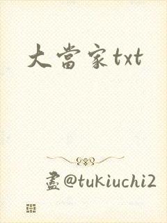 大当家txt