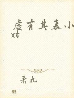 虚有其表小说txt