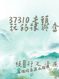 37310老头玩的很兴奋