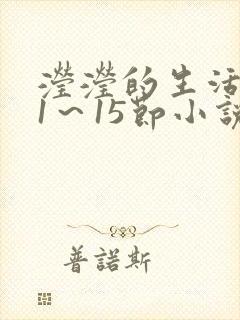 滢滢的生活日记1～15节小说