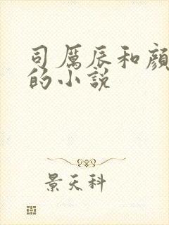 司厉辰和颜辞兮的小说