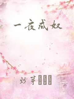 一夜成奴