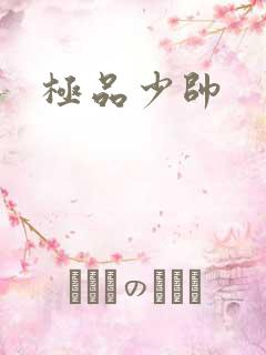 极品少帅