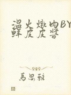 温火炖肉BY海鲜皮皮酱