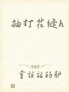 抽打花缝h