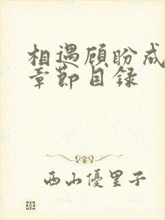 相遇顾盼成欢全章节目录