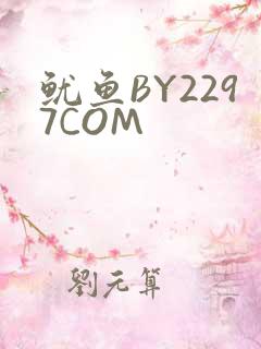 鱿鱼BY2297COM