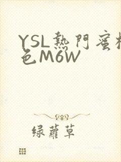 YSL热门蜜桃色M6W