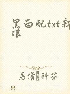 黑白配txt新浪