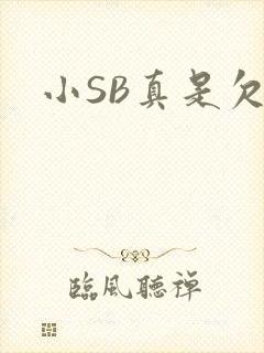 小SB真是欠C