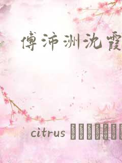 傅沛洲沈霞小说