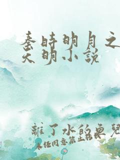 秦时明月之夜尽天明小说