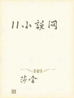 11小说网