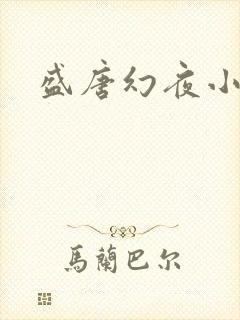 盛唐幻夜小说