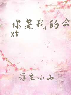 你是我的命运txt