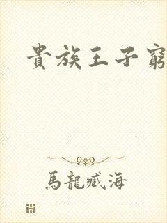 贵族王子穷公主