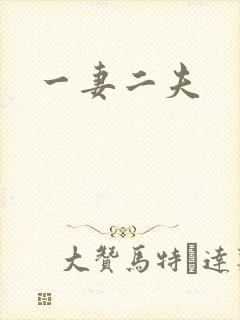 一妻二夫