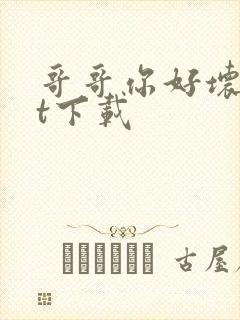 哥哥你好坏txt下载