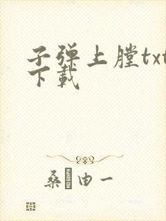 子弹上膛txt下载