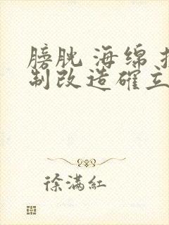 膀胱 海绵 控制改造确立m