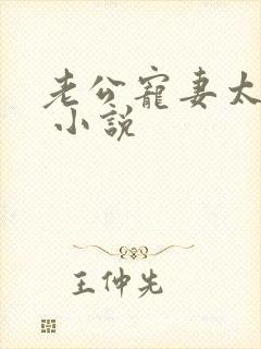 老公宠妻太甜蜜 小说