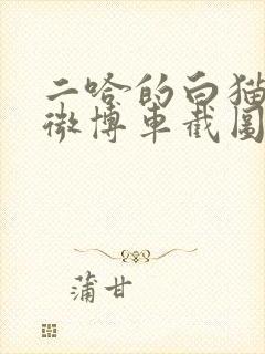 二哈的白猫师尊微博车截图