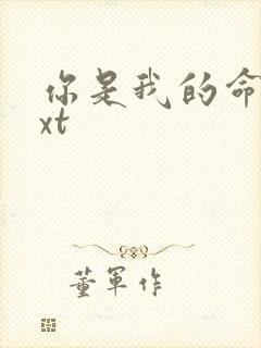 你是我的命运txt