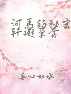 河马的秘密河文轩避孕套