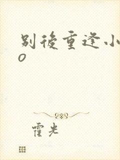 别后重逢小说po