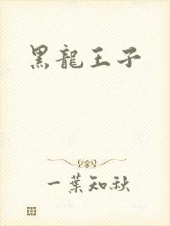 黑龙王子